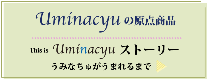 this is Uminacyuストーリー